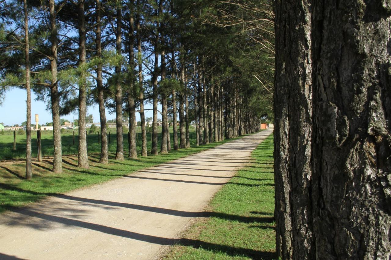 Estalagem Haras Di Cellius Bagé Exterior foto