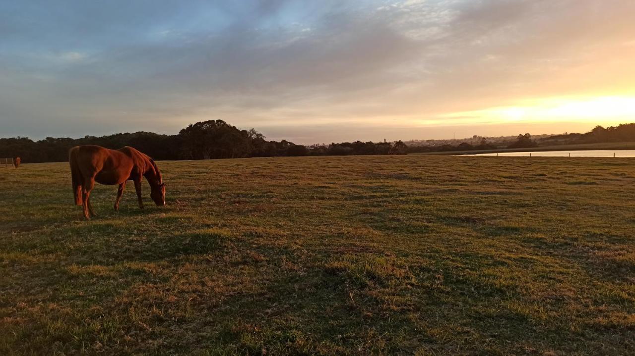 Estalagem Haras Di Cellius Bagé Exterior foto