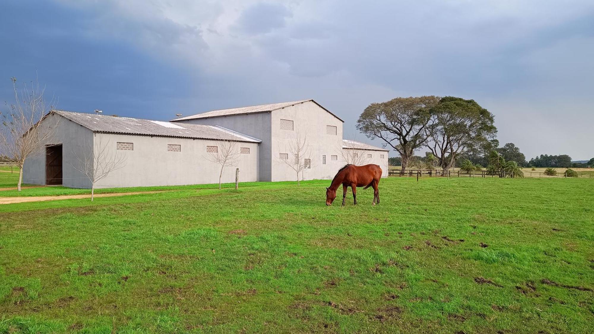 Estalagem Haras Di Cellius Bagé Exterior foto