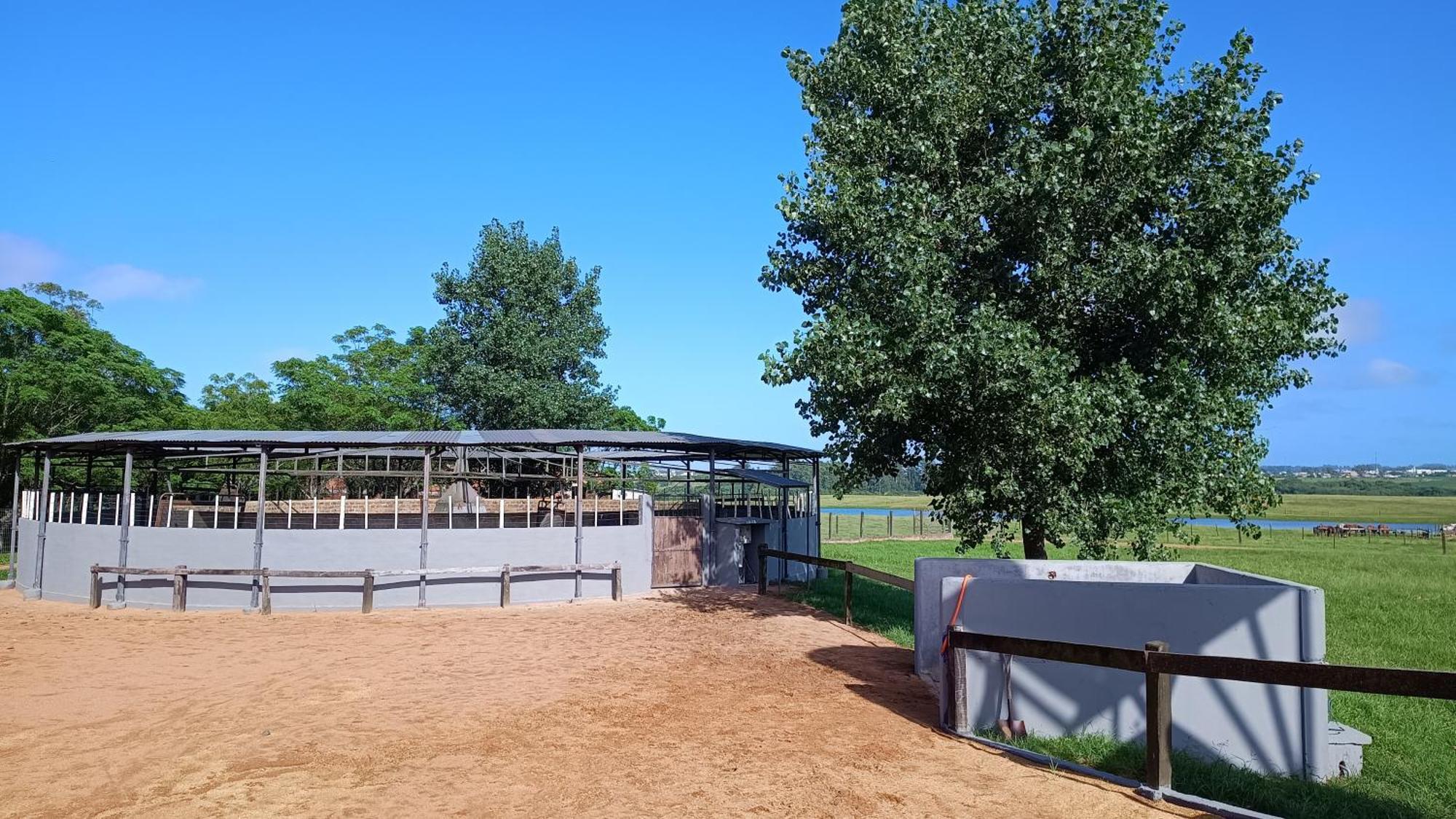 Estalagem Haras Di Cellius Bagé Exterior foto